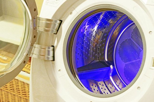 ノミは洗濯でも駆除が可能！人やペットの被害を防ぐ予防法もご紹介