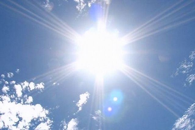 ダニの死滅温度とよくある対策の効果