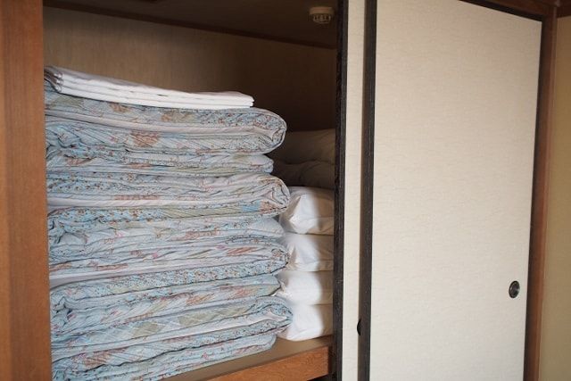 ダニが服や押し入れに発生する理由をチェック