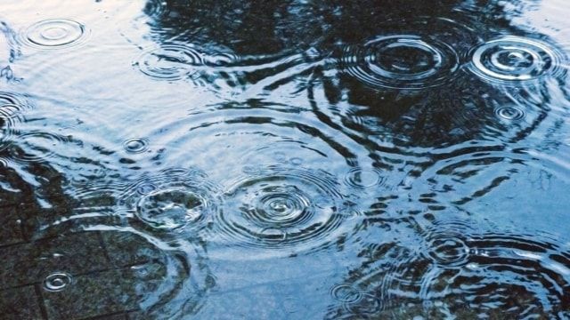 芝生にでこぼこがあると起きる二つの問題