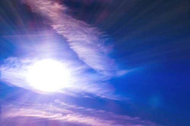 意外と効果が見込めない駆除方法