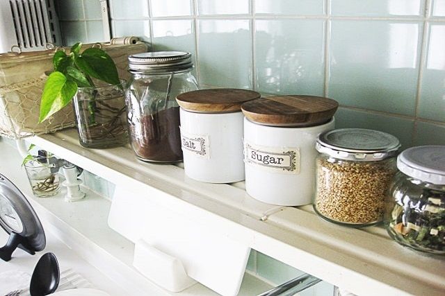 ダニの餌をなくして増殖を食い止めよう！ダニがいない環境の作り方