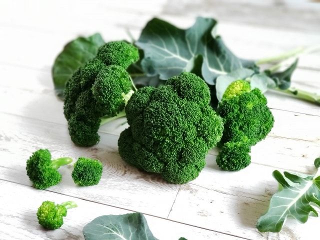 トビイロシワアリが人間にもたらす被害