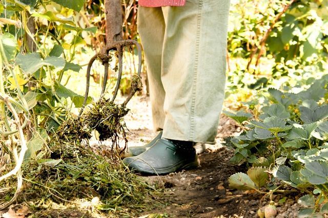 雑草抜きにあると便利な道具