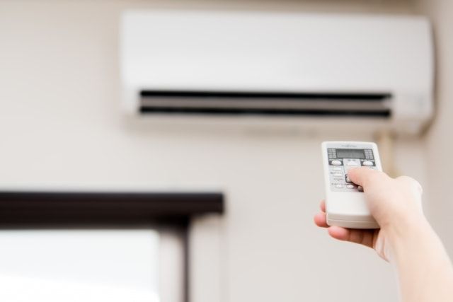 ダニの餌をなくして増殖を食い止めよう！ダニがいない環境の作り方