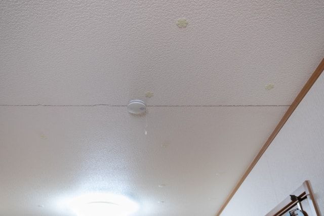 天井や壁にひび割れができたときの対処！危険度の高い症状の見分け方