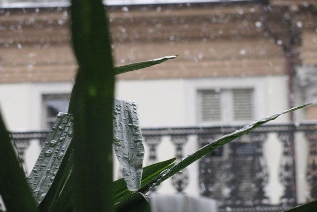 コンクリートの塩害は非常に危険！要因から対処法までを詳しく解説