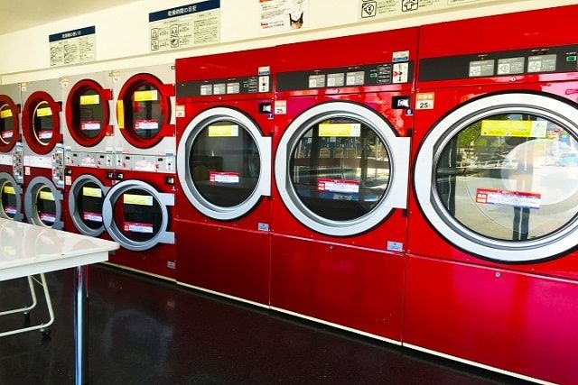 ダニの駆除をしてもらったあとの対策・予防方法