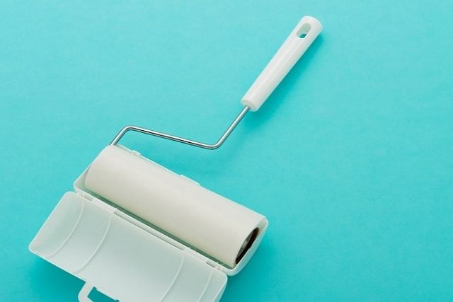ノミは洗濯でも駆除が可能！人やペットの被害を防ぐ予防法もご紹介