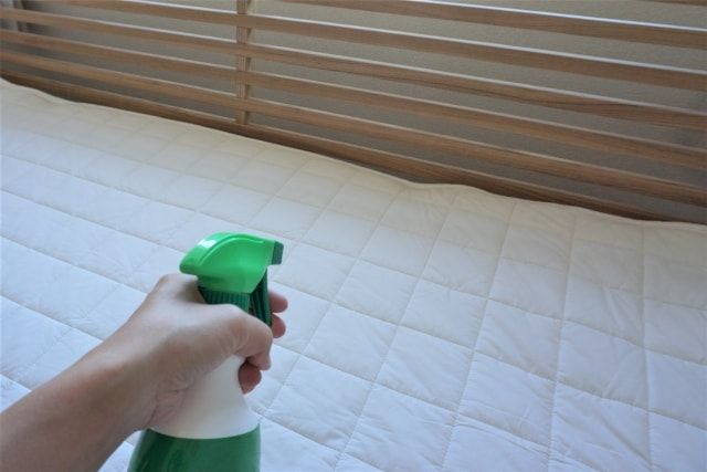 ダニの餌をなくして増殖を食い止めよう！ダニがいない環境の作り方