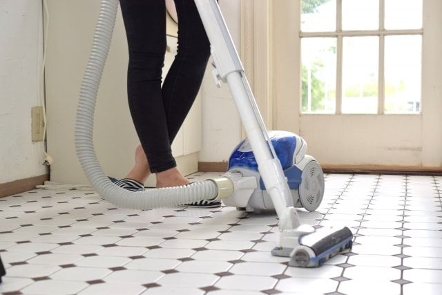 アリを駆除したあとは今後の予防もしよう