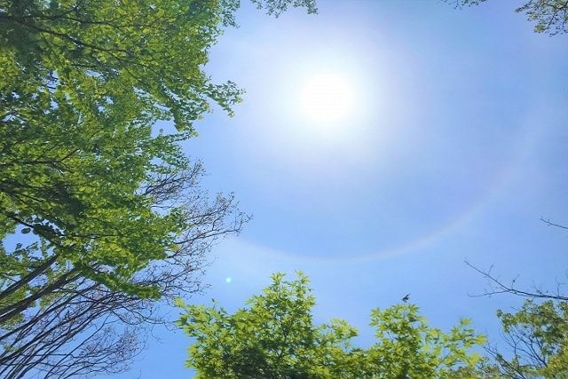 除草剤の撒き方と注意点