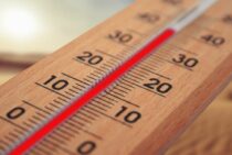 ダニの死滅温度は60℃以上！湿度も下げればさらに効果的に駆除できる