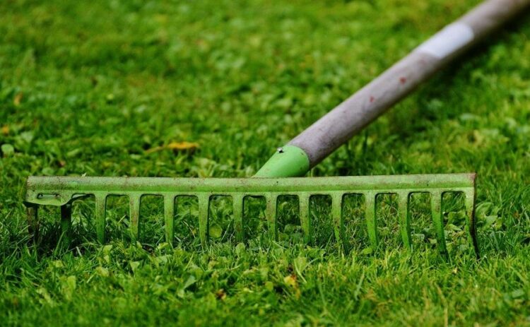 芝生のサッチングで使う道具3選!労力と時間を減らせる方法もご紹介