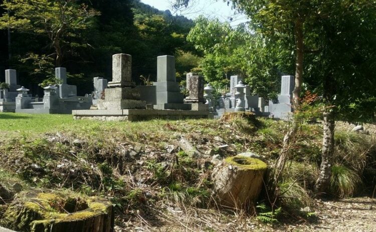 お墓の雑草対策法を4つ紹介。キレイなお墓で気持ちよくお参りしよう