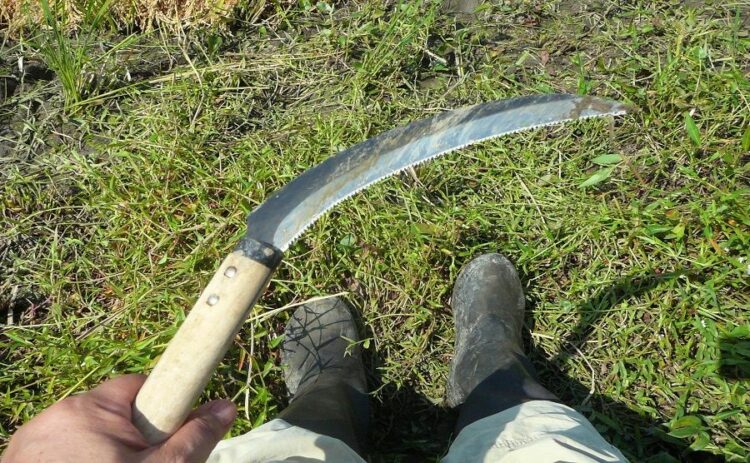 草刈り道具のおすすめを紹介!特徴を知って自分にあった道具を選ぼう