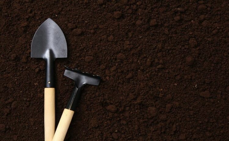 庭の整地はトンボで平らにするとよし!芝張り前の整地方法とは