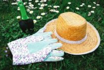 芝生をやめたいときの対処！手入れを楽にする方法とリセットする方法