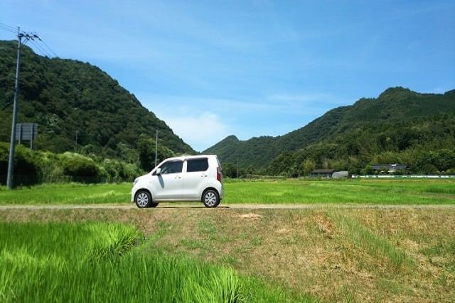 田んぼの畔も草刈りをしよう！虫を予防するためのコツについても紹介