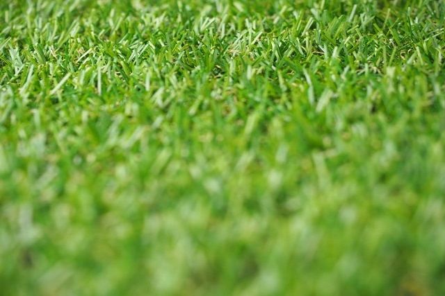 人工芝だって下地が大切！基礎を固めてきれいなお庭を作るポイント