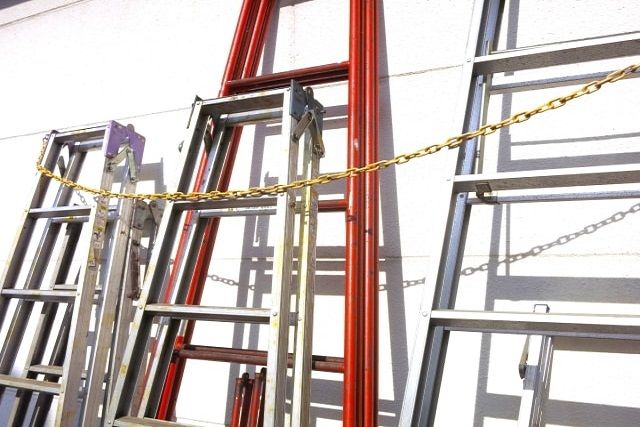 伸びすぎたツタを除去しよう！作業前に注意するポイントも紹介します