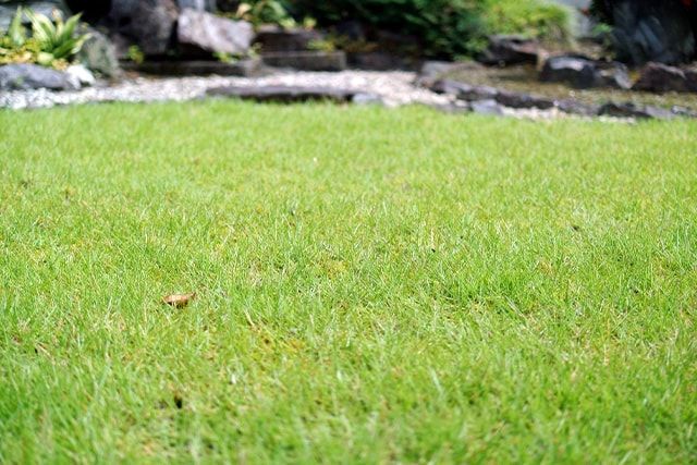 芝生にスライシングをすると元気に！おこなう時期や手順を解説！