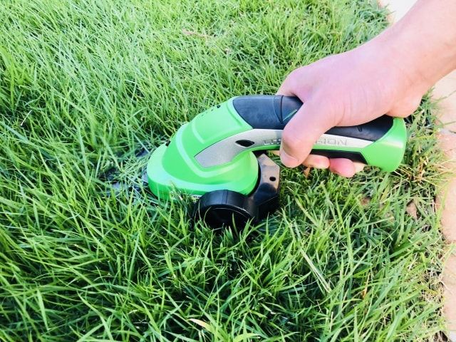 芝刈りの道具を選ぶポイントとは？芝刈り機以外にも便利な道具を紹介