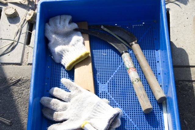 雑草駆除は道具を使って賢く安く終わらせよう！コツや対策も解説