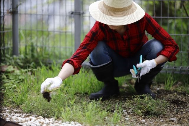 雑草だらけの庭をDIYで変身！雑草の生えにくい庭づくりをする方法は？