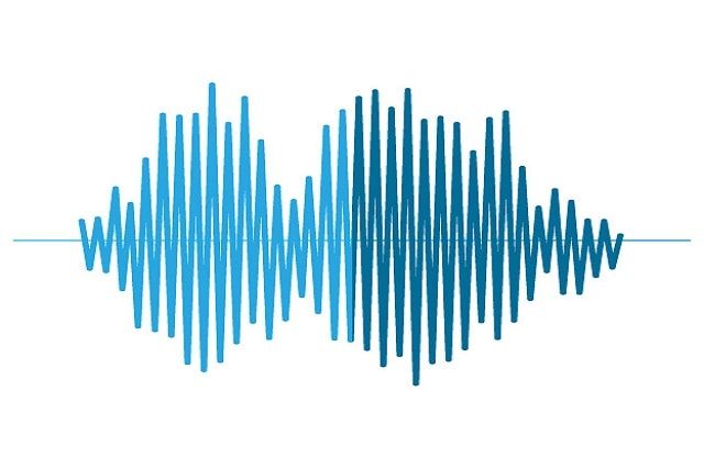 ネズミ対策に超音波が効く？嫌がる仕組みや使うときの注意点を紹介！