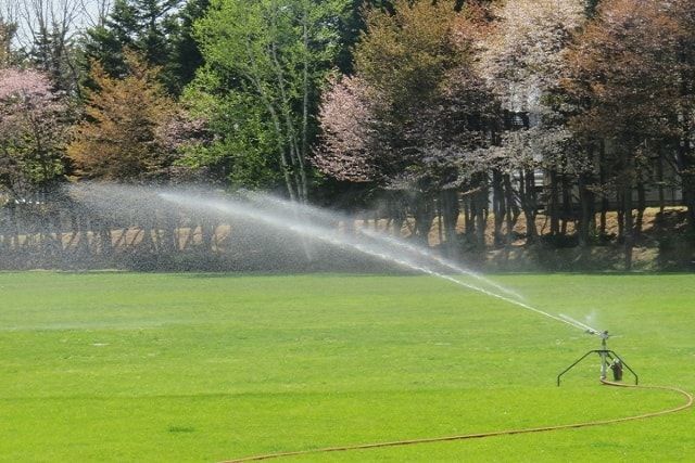 ドッグランに芝生を敷きたい！管理が大変なら人工芝という手段も
