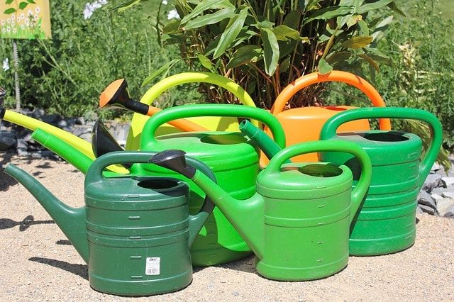 芝生の肥料は撒き方と選び方が重要！芝生を元気にする肥料の基礎知識