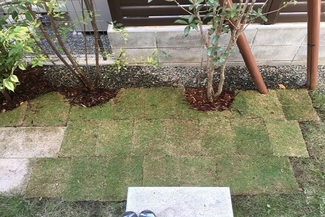 芝生1m2の単価はいくら？種類ごとの違いと業者に頼んだ場合の費用