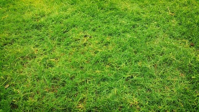 芝生にスライシングをすると元気に！おこなう時期や手順を解説！