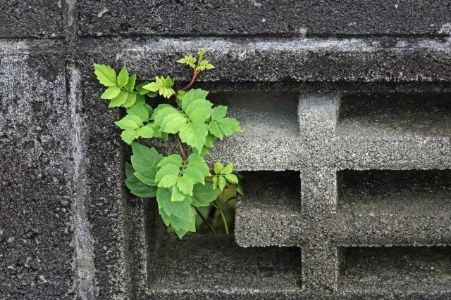 ブロック塀に穴を開けてオシャレにしたい！耐震性にも気をつけよう