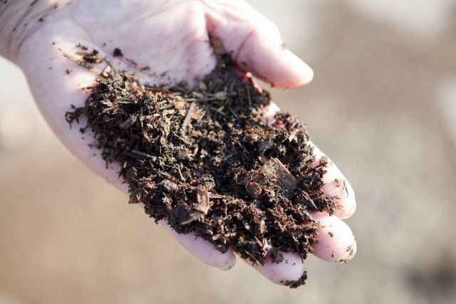 芝生用の土壌には改良剤が最適！水はけ通気性のよい土を手に入れよう