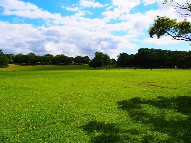 除草剤をまくと藻が増える？