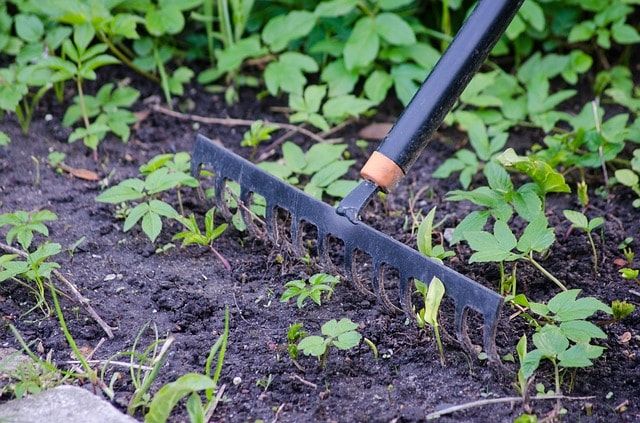 草刈り道具のおすすめを紹介！特徴を知って自分にあった道具を選ぼう