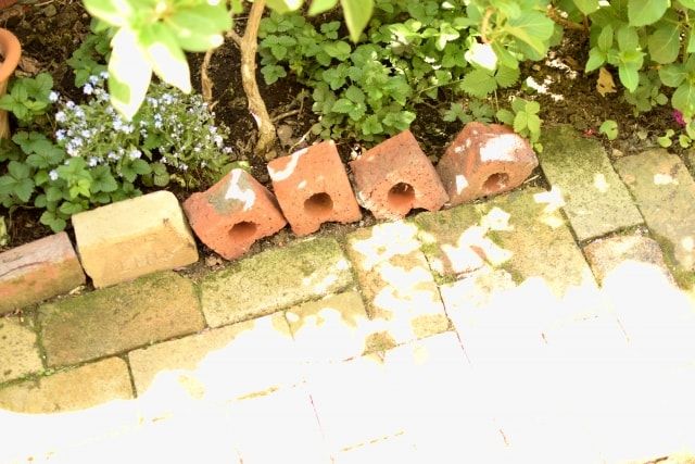 雑草だらけの庭をDIYで変身！雑草の生えにくい庭づくりをする方法は？