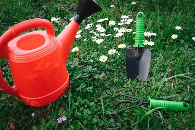 除草するときは雑草のトゲに要注意！雑草に触れない除草方法も紹介