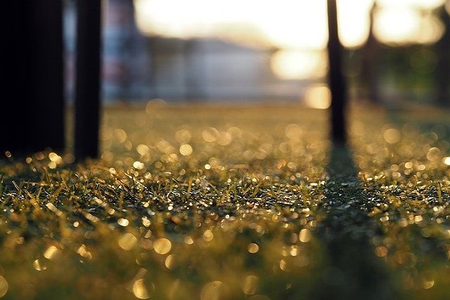 人工芝の落ち葉掃除には竹ぼうきがおすすめ！ほかの便利道具も紹介