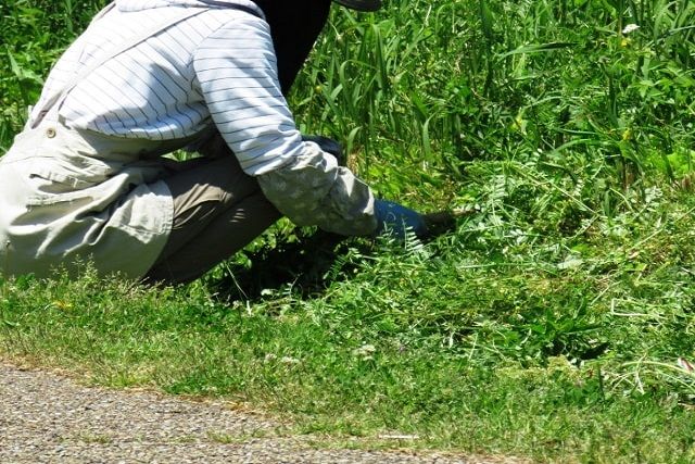 草刈り道具のおすすめを紹介！特徴を知って自分にあった道具を選ぼう