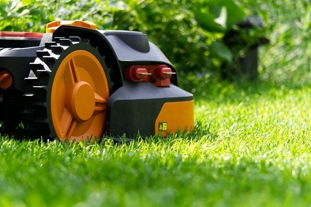 芝刈りの道具を選ぶポイントとは？芝刈り機以外にも便利な道具を紹介