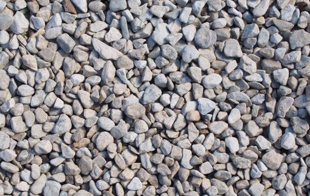 伸びすぎたツタを除去しよう！作業前に注意するポイントも紹介します