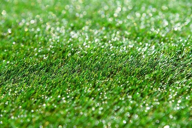 芝生の撤去について解説！いらない芝生をはがして新しい庭づくりを！