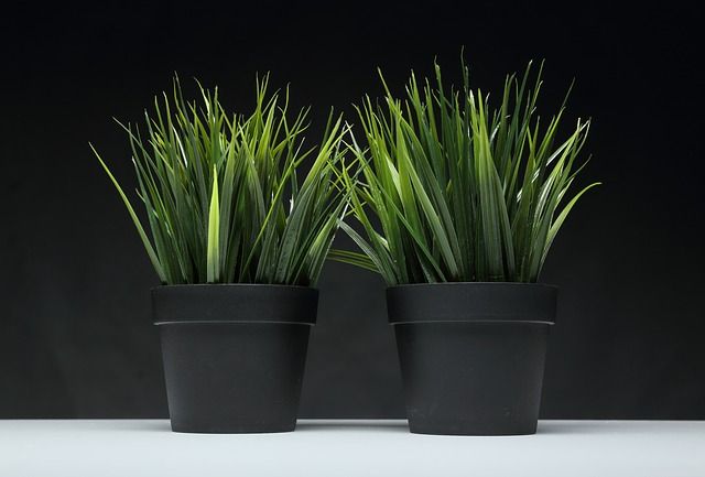 雑草が気になるなら人工芝を張る手もある