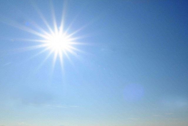畑の雑草の処理方法！効果的で安全な駆除方法と雑草の活用術をご紹介