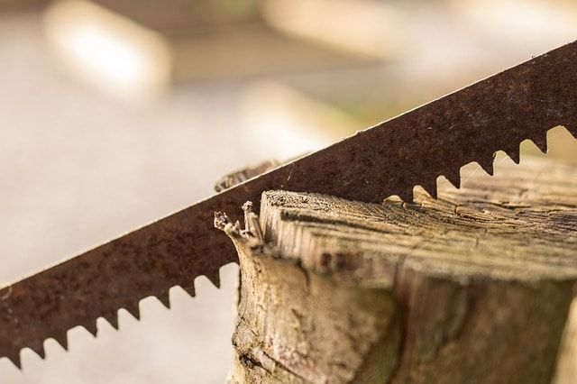 木を切るノコギリはここをチェック！庭木を伐採するノコギリをご紹介