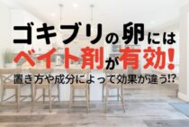 ゴキブリはベイト剤で駆除しよう！おすすめ商品や使い方をご紹介！