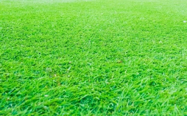 人工芝のDIYでの失敗と原因とは!失敗しないための対策法も紹介